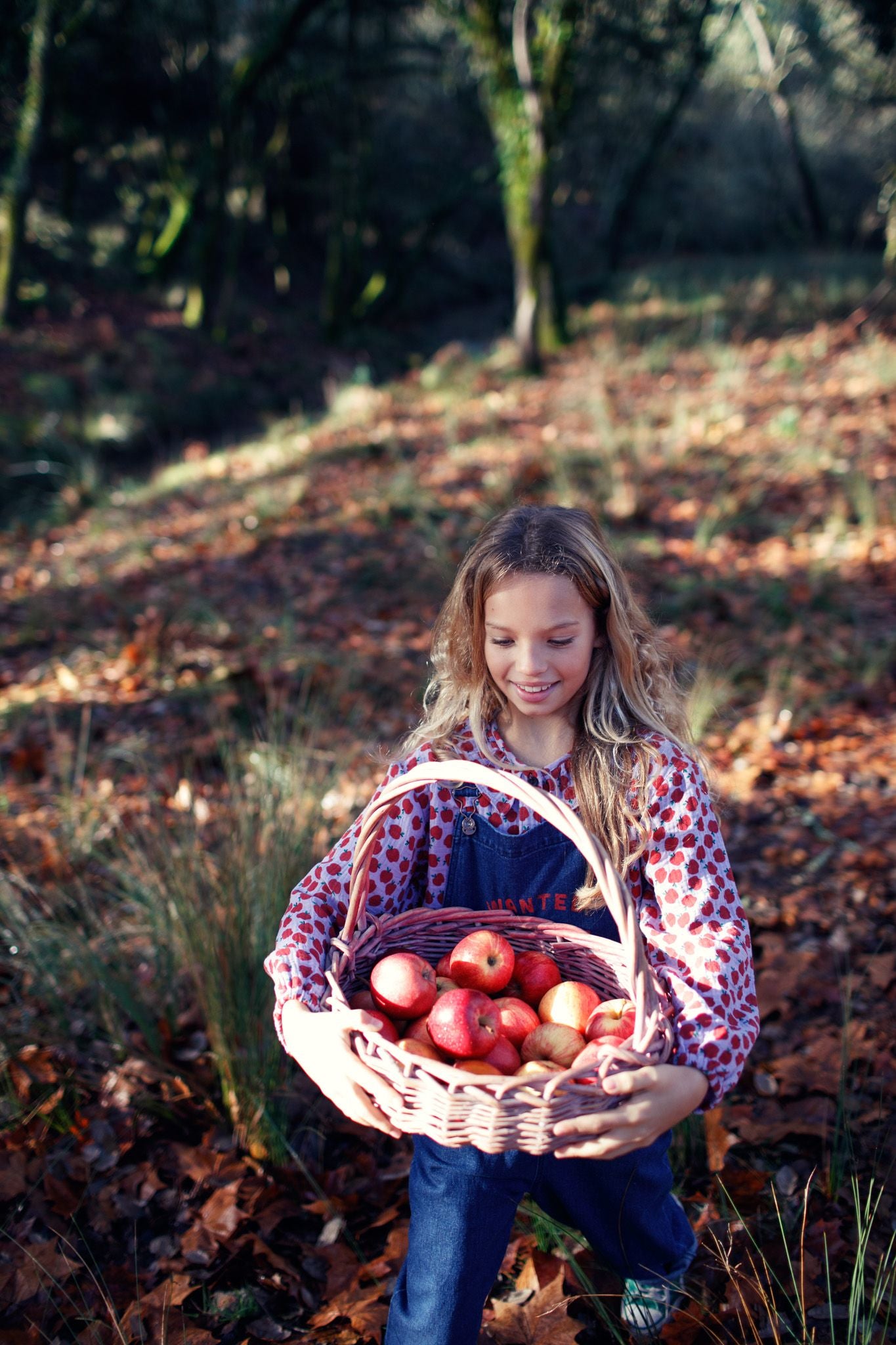 Piupiuchick Blouse w/ round collar lilac w/ red apples