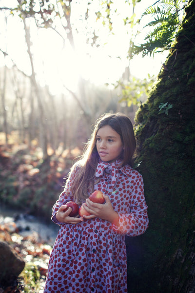 Piupiuchick long dress lilac w/ red apples